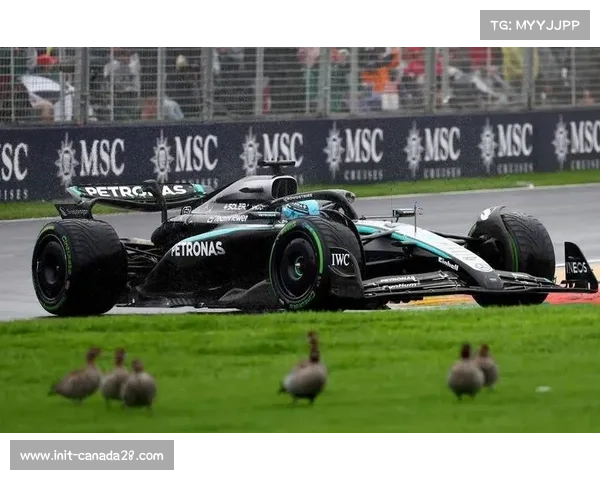 诺里斯夺得巴西大奖赛冲刺赛冠军，安东内利获第二